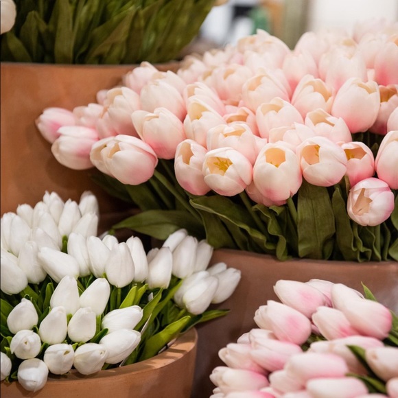 Meet your Posher, Nicole - Picture 1 of 1